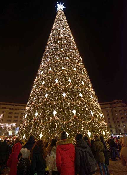 A big crowd gathering around a massive Christmas tree.
